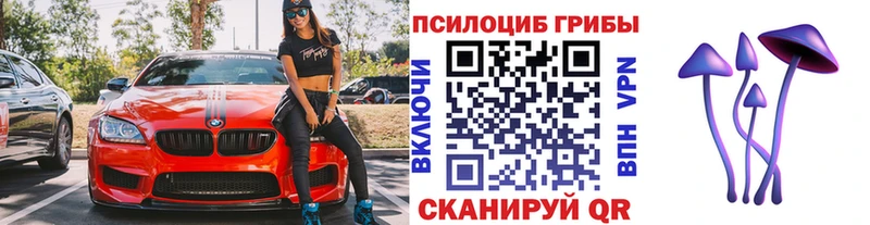 Псилоцибиновые грибы прущие грибы  Шилка 
